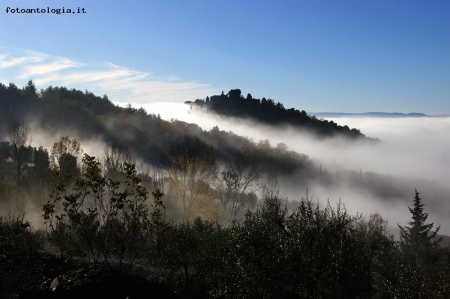 nebbia