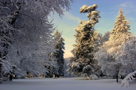 Dopo la nevicata