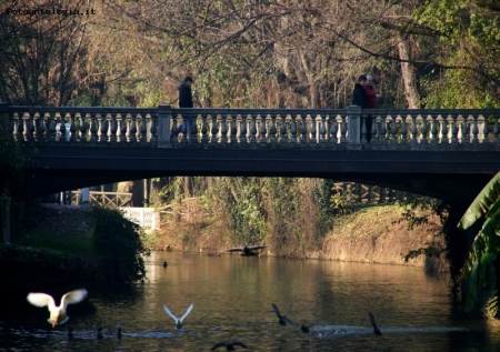 ponte a cernusco s/n!