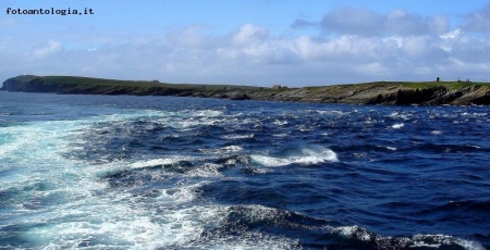 isole ORCADI