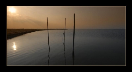 Laguna
