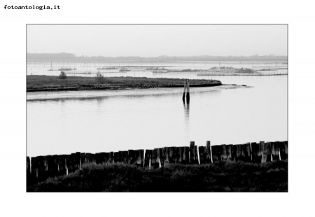 Laguna 2