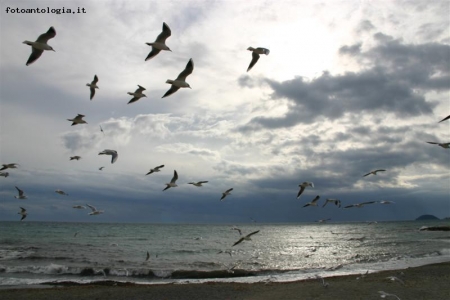 il mare d'inverno