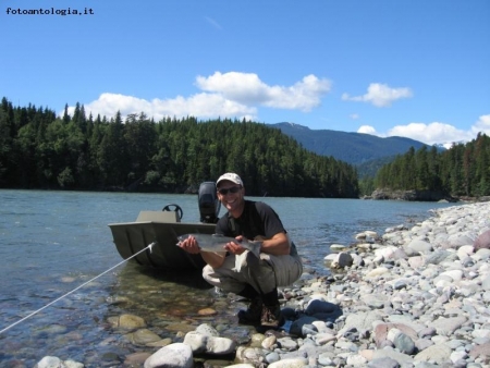 Sockeye dello Skeena river