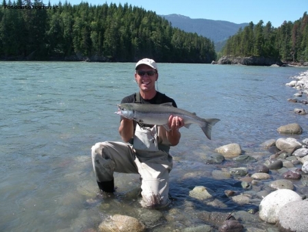 Sockeye