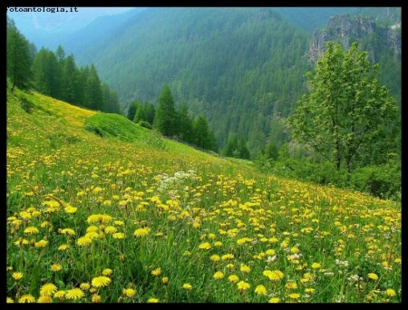 voglia di primavera