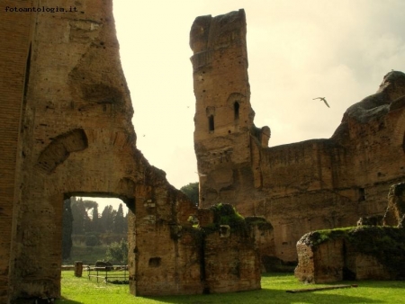 caracalla