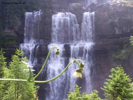 Le Cascate di mezzo della Vallesinella