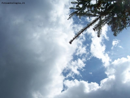 Cielo