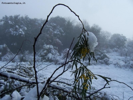 Il peso dell'inverno