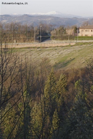 alba da san luca (BO)