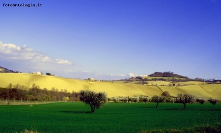 colline
