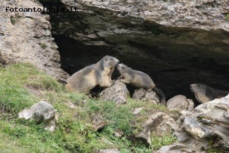 Amore di mamma!