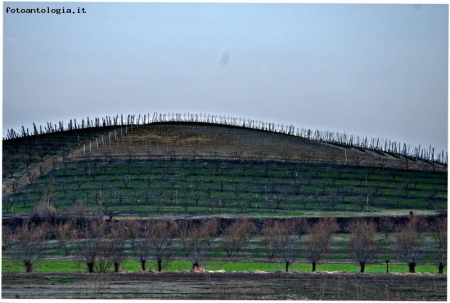 Incontro sulla collina