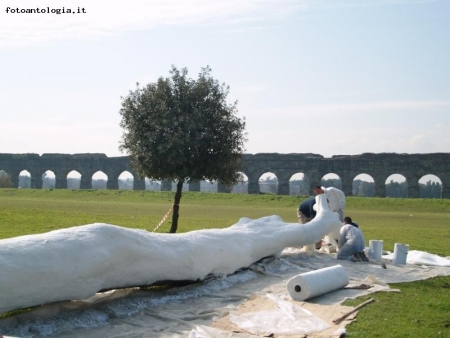 Distorsione di un albero