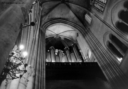 organo Notre Dame de Paris