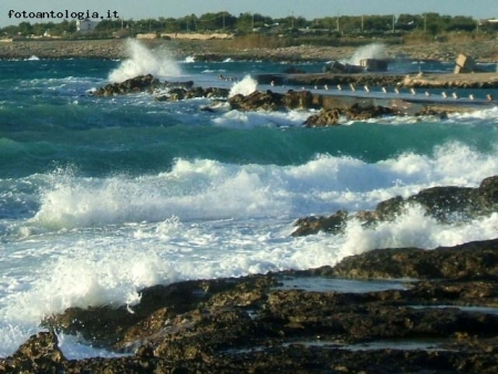 il mare d' inverno