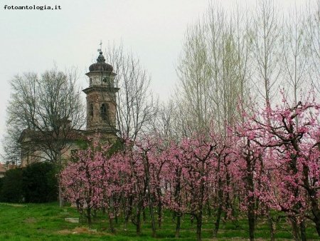 chiesa di campagna