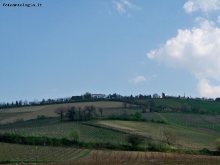 verde primavera