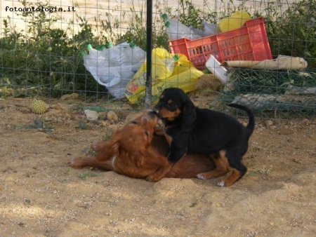 Mamma e figlio...