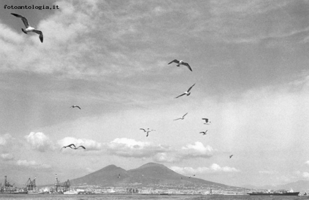 napoli vesuvio con gabbiani