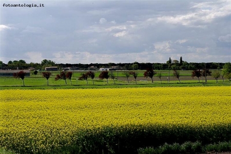 panorama agricolo