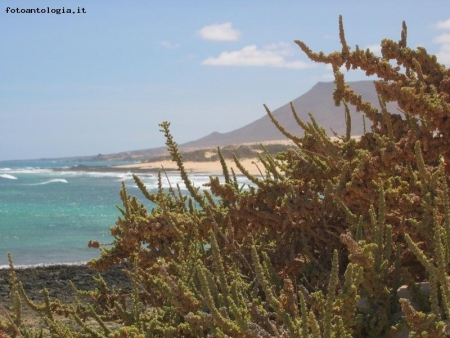 CORRALEJO -FUERTEVENTURA