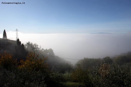 velo di nebbia