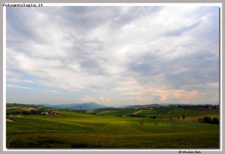Campi senza fine