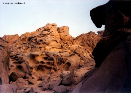 deserto del sinai (al tramonto)