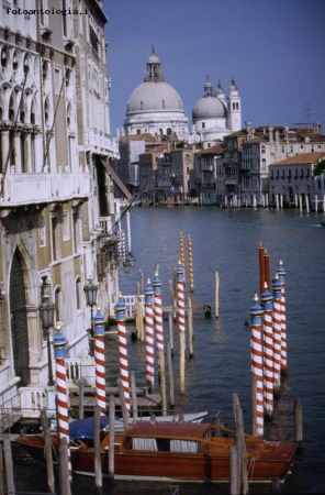 Venezia 1994