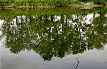 riflessi lungo il reno