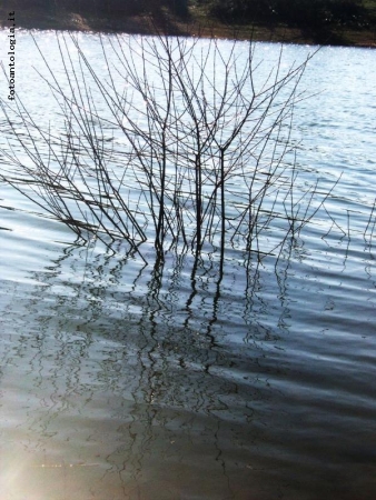 specchio d'acqua