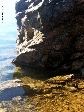 Gigante in acqua