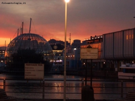 acquario di genova