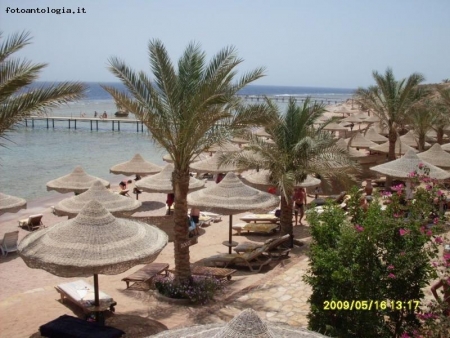 spiaggia di sharm