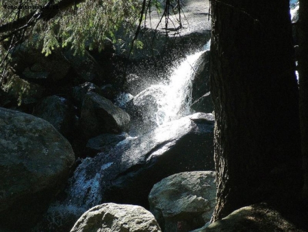 la gioia dell'acqua