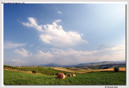 Fieno tra le distese colline