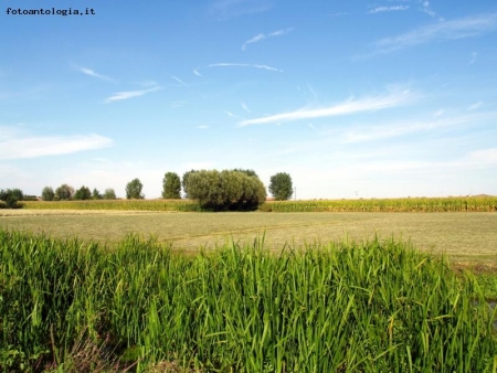 campagna