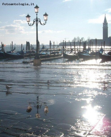 acqua alta a san marco