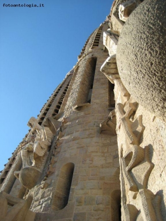 Sagrada Familia..verso il cielo