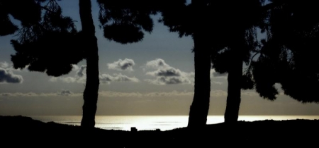 l dove il mare luccica...