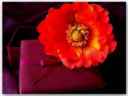 ditelo con i fiori...