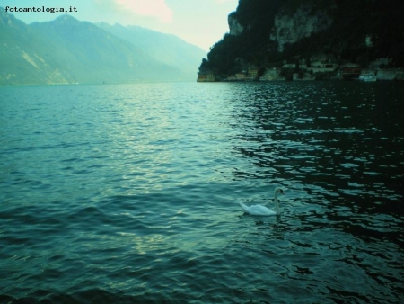 Sunset-Lake Garda-Italy