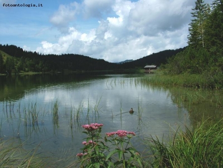 Ferchensee