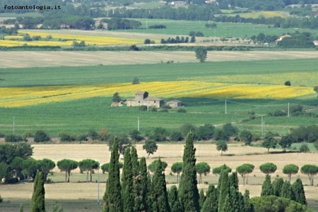 Bella tra i girasoli