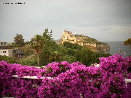 Ischia Ponte