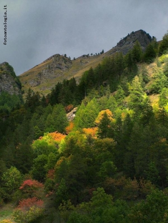 raggio d'autunno