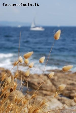 accarezzando il mare