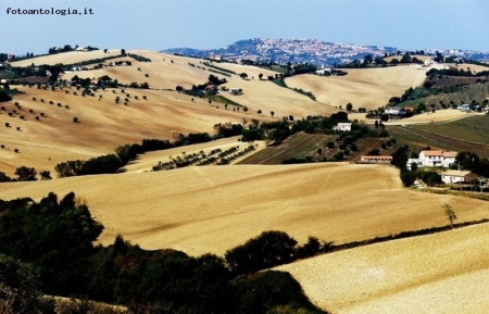 pronta per la semina